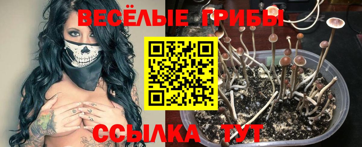 А ПВП Клинцы